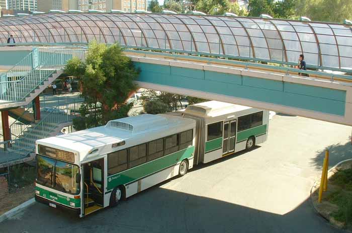 Transperth MAN SG292H Bolton 41